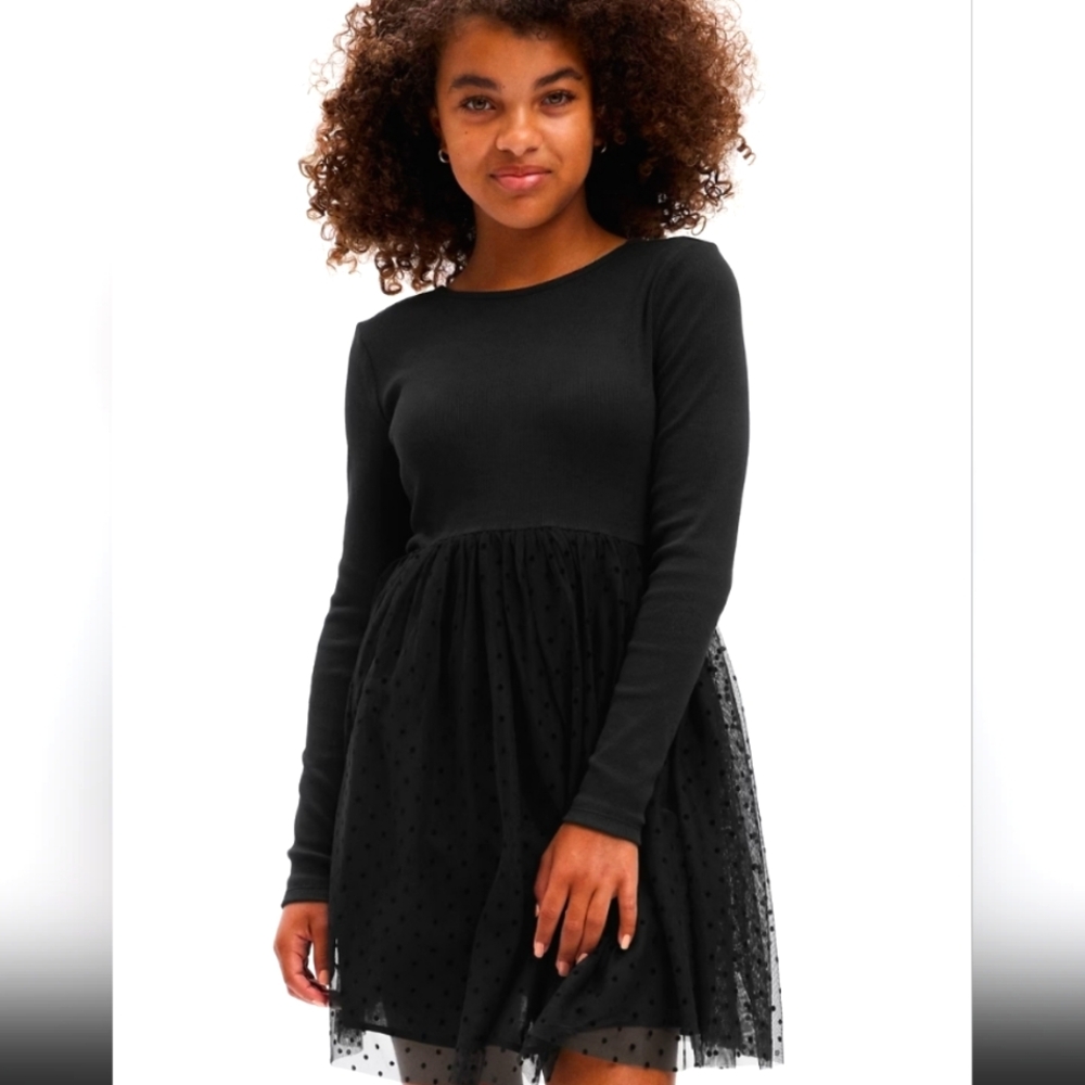 NWT Little Girls Gap Kids Tulle Dress